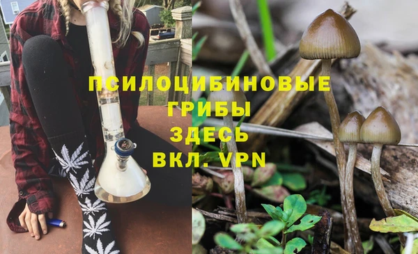 прущий лед Алексеевка