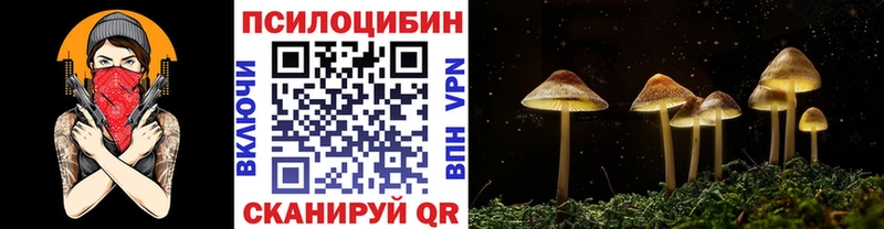 ОМГ ОМГ   Тула  Псилоцибиновые грибы мухоморы 