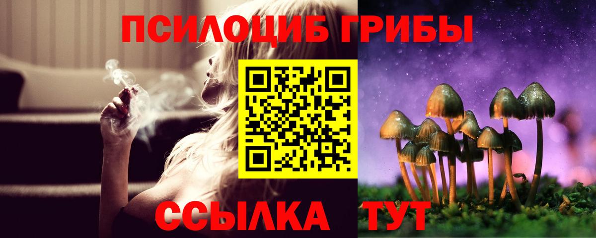Псилоцибиновые грибы Psilocybine cubensis Тула